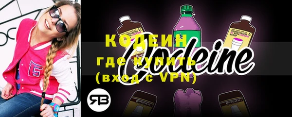 мдпв Тобольск