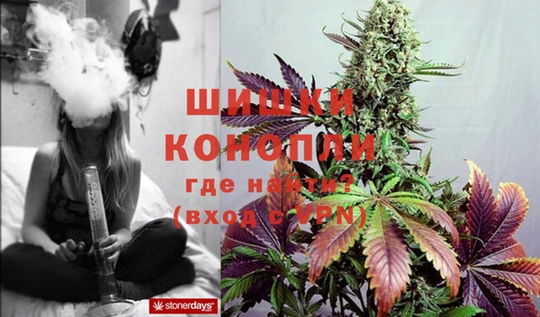 стаф Бугульма