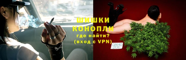 тгк Бородино