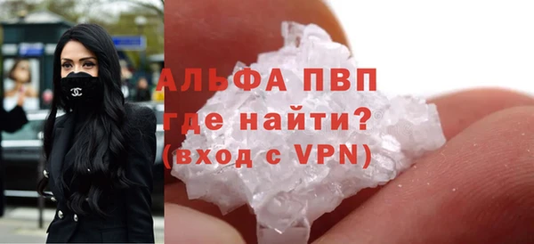 дмт Богданович