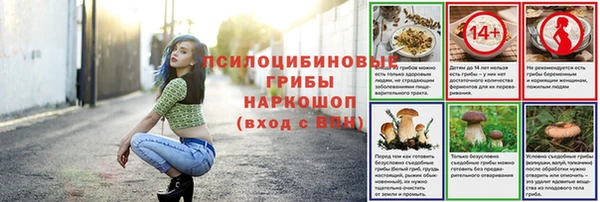 тгк Бородино